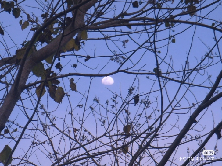 三星i6 到手可用 实价可拍