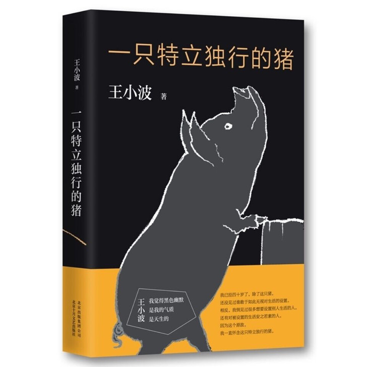 一只特立独行的猪王小波精品集畅销书籍
