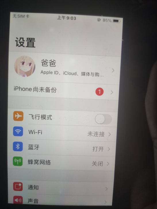 苹果  iPhone SE，32G，其他国...