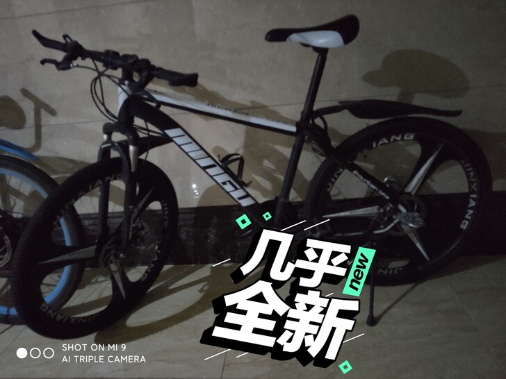 买了不到3个月的山地变速自行车