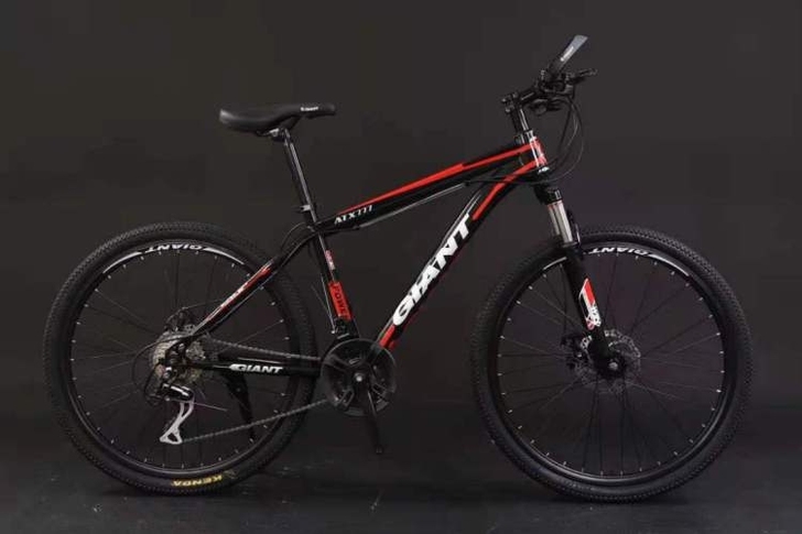 处理价出一批捷安特山地车自行车男女中青年学...