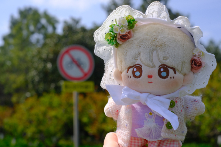 出日山鹅鹅合作款花边帽，不记得是二期还是三...