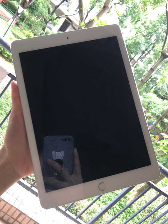 出一个自用iPad