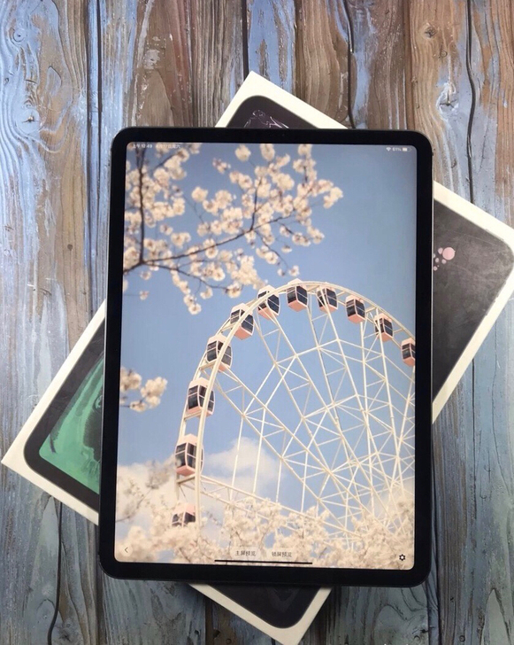 iPad ipad2018 128g 给钱...