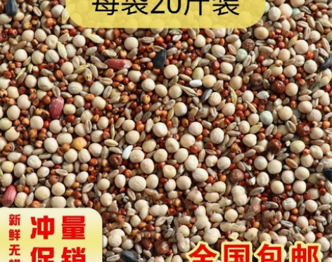 鸽粮20斤包邮无玉米鸽子粮幼鸽成鸽观赏鸽肉...