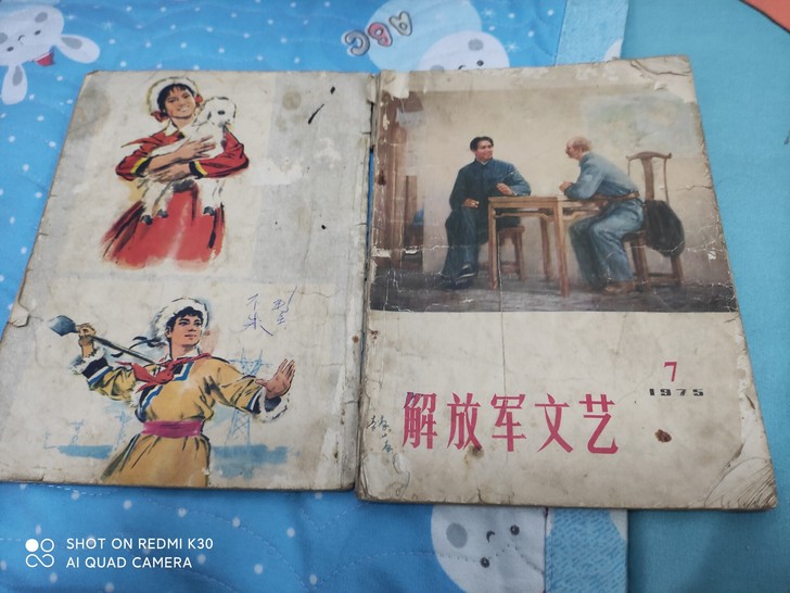 两本老书