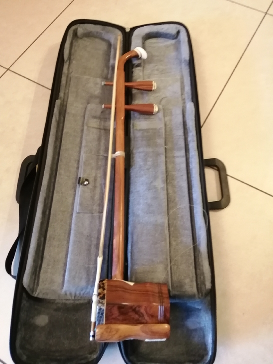 北京星海儿童二胡，培训机构推荐购买，适合3...