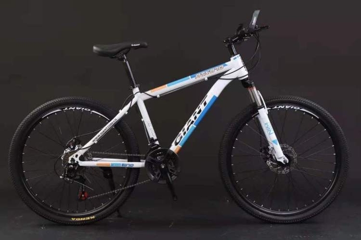 捷安特山地车自行车男女中青年学生变速单车减...