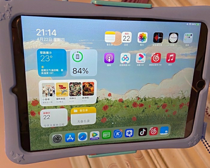 iPad 6 air2(64G)女生自用闲...