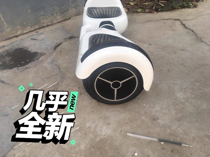 领奥智能两轮自平衡车成年上班用学生儿童滑板...