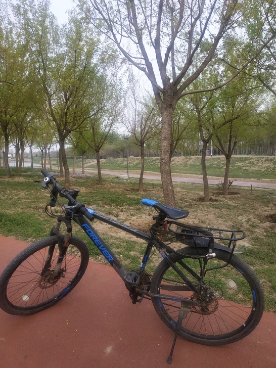 自用两年七成新永久27速自行车，保养非常好...