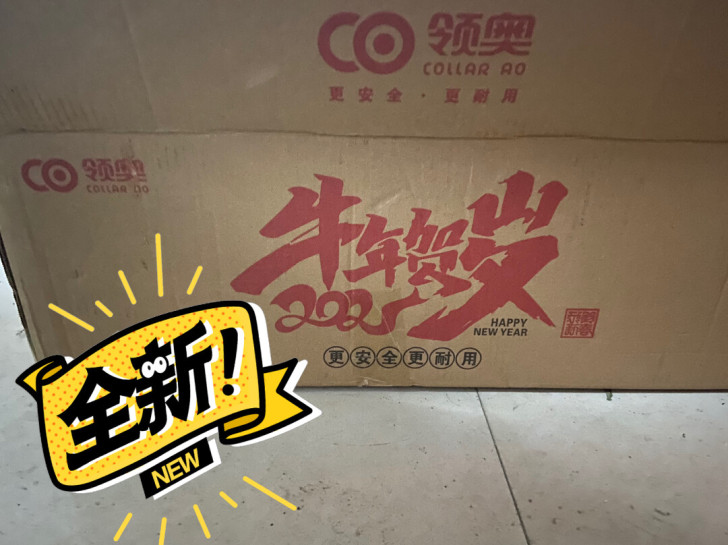 领奥电动平衡车，全新，朋友送给孩子的，孩子...