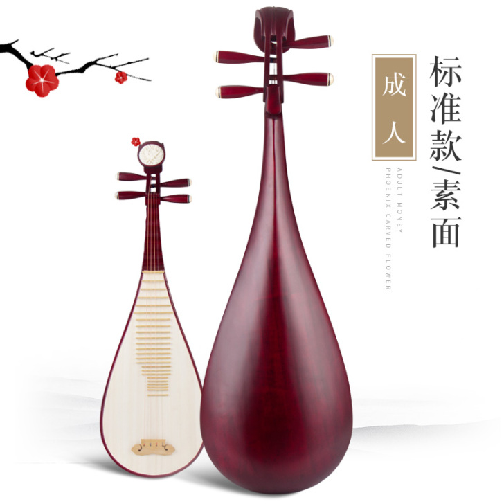 红木琵琶乐器初学入门成人儿童弹拔琵琶演奏民...