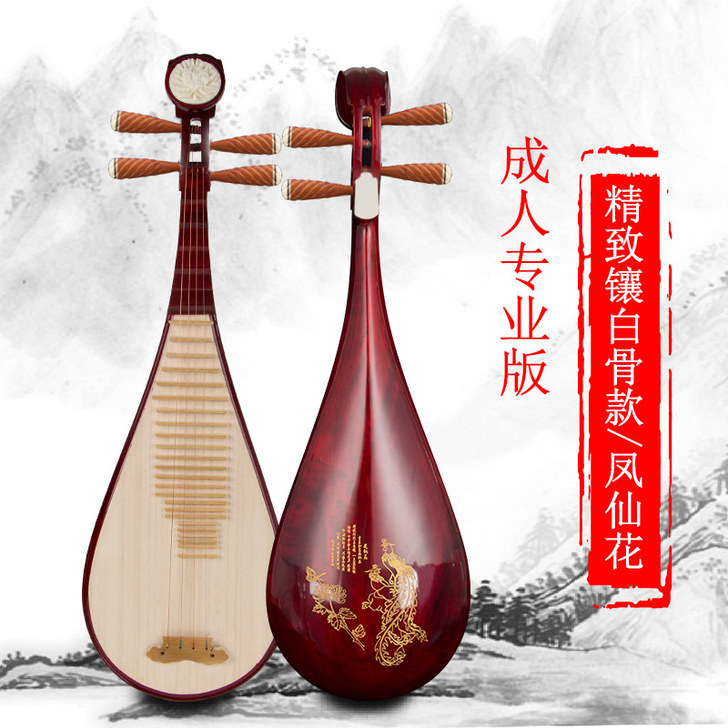 竹林丰琵琶乐器初学入门儿童成人初学者专业演...