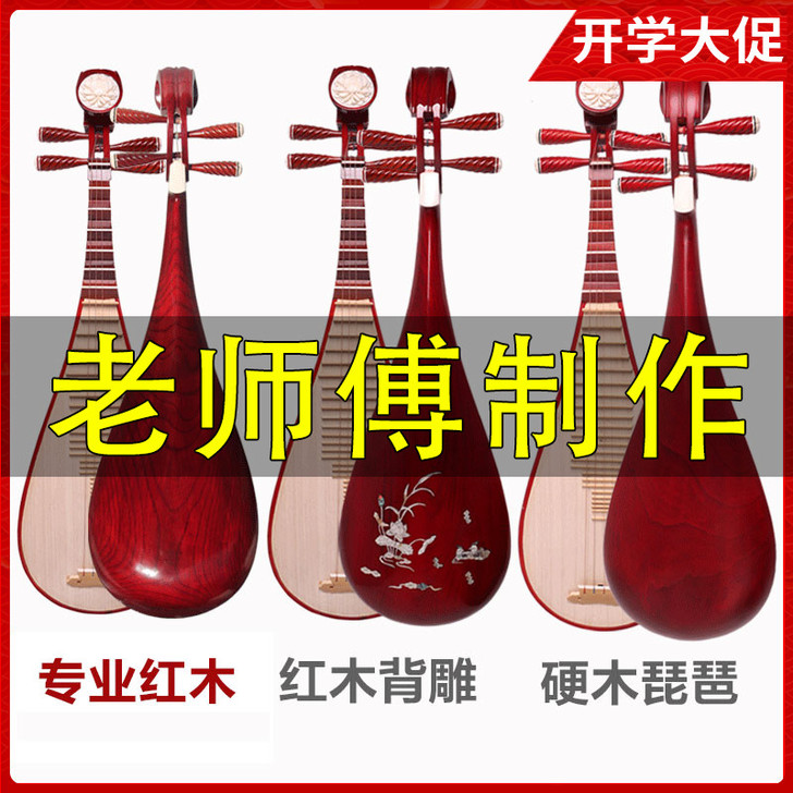 琵琶乐器成人儿童初学者入门琵琶专业教学琵琶...