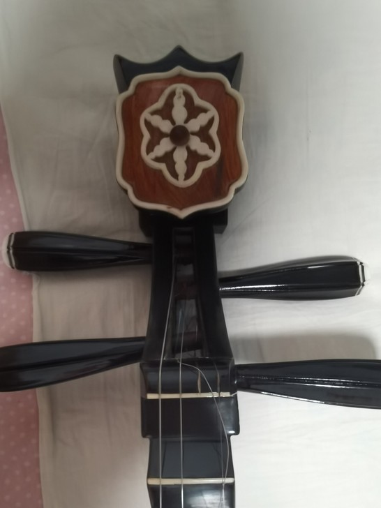 琵琶  九成新 只用过几次 琴弦断了一根 ...