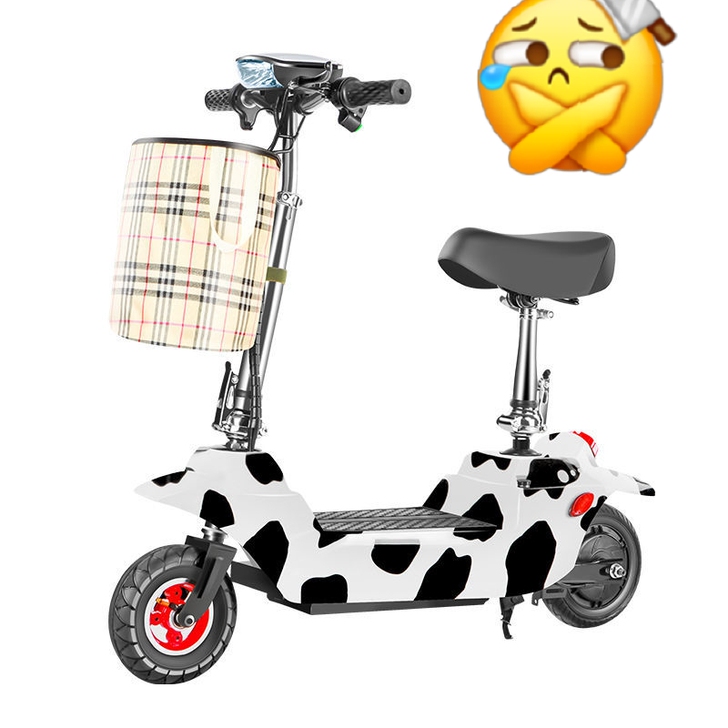 【虎门镇 汛龙公馆】自提99新 海豚折叠小...