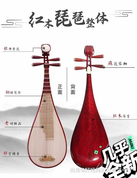 #节后鱼生#几乎全新！成人大童初学者入门琵...