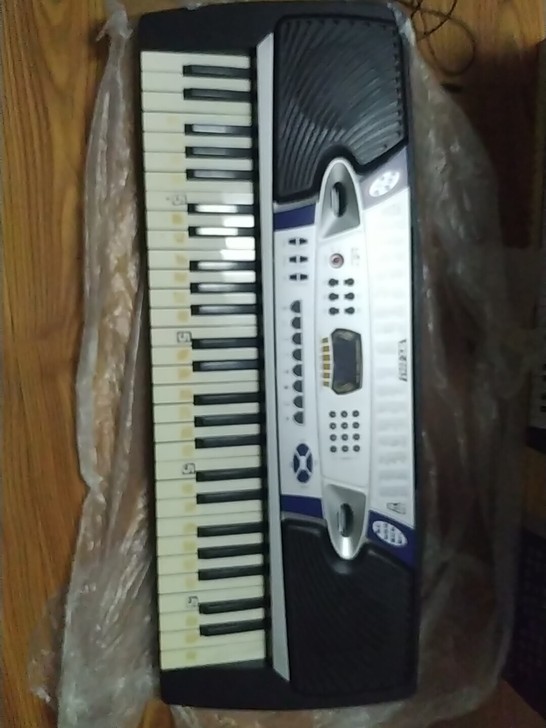 儿童入门电子琴，限同城自提