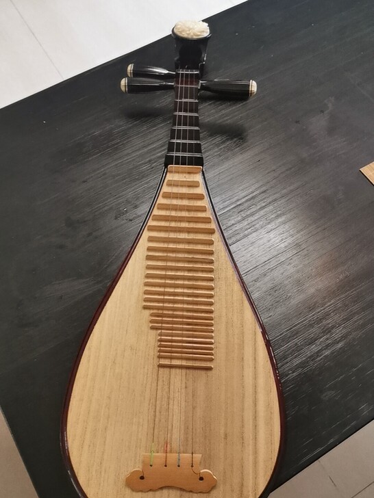 处理旧琴，儿童琵琶一把，一口价不讲价