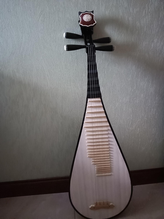 全新成人练手琵琶,原价刚买的750元,是练...