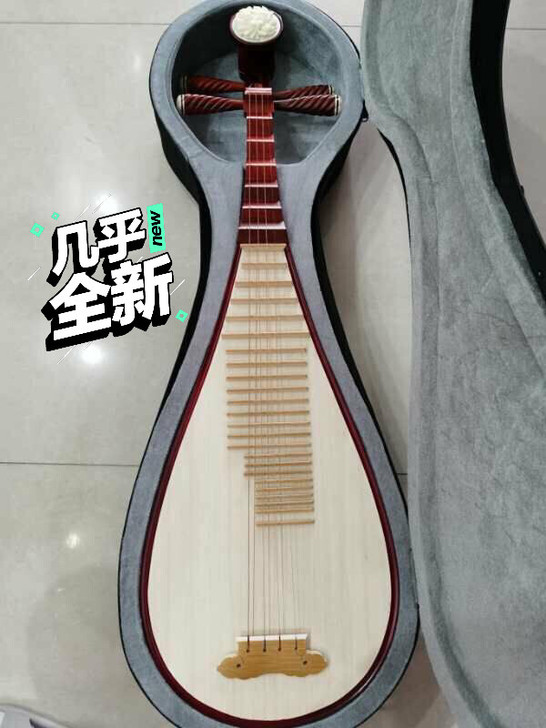 成人琵琶几乎全新 买了没怎么练。买了不到一...