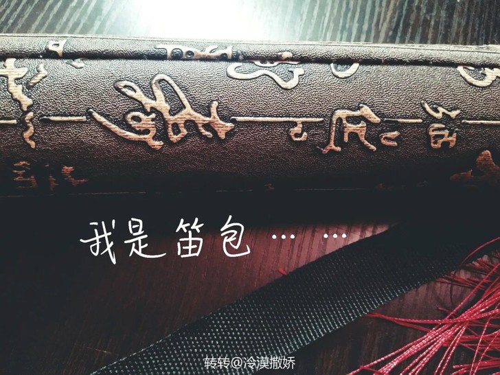 黑色竹笛陈情笛子 入手渠道：淘宝正品购入鸭...