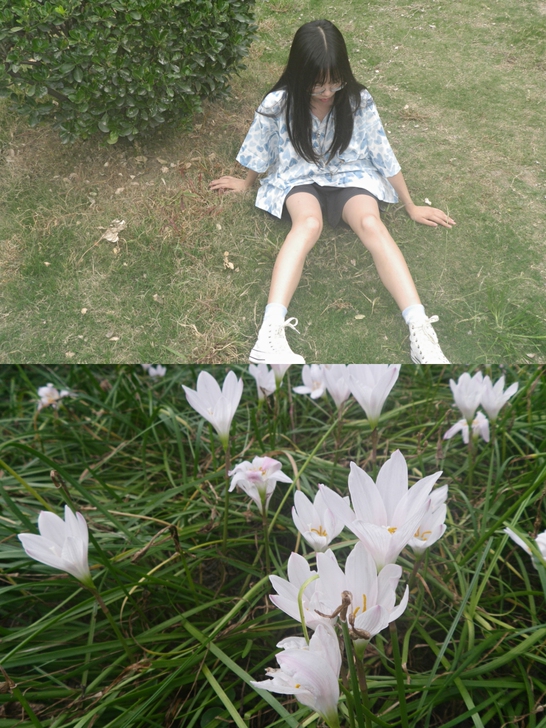 宾得CCD超级好的一款！