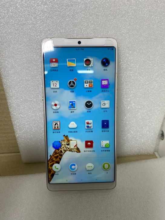 坚果pro2全网通手机，6+128内存，骁...