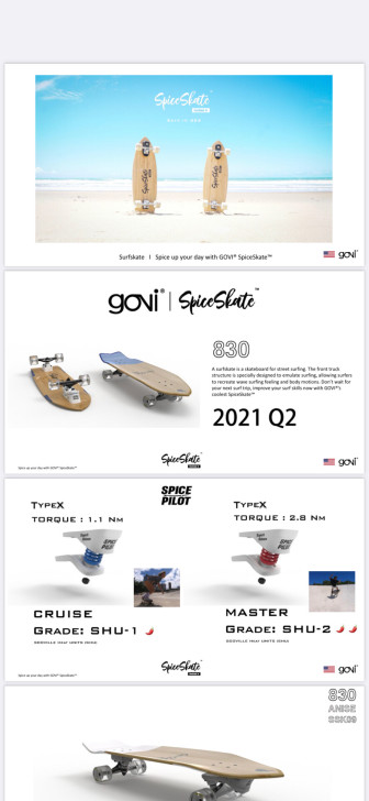 美国进口GOVI陆地冲浪板SpiceSli...