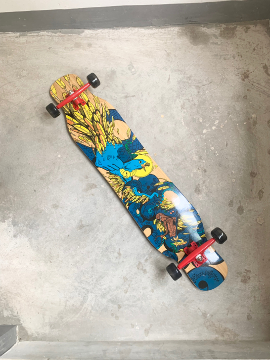 长板整板圣甲虫长板RA6玻纤长板刷街dan...