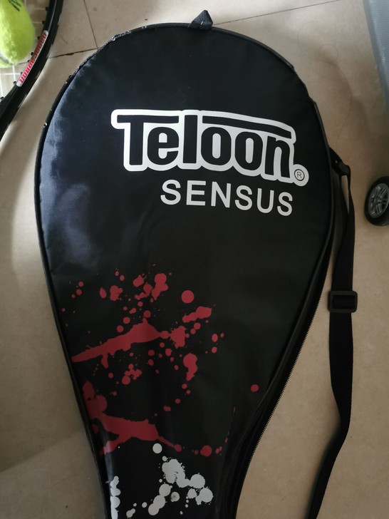 天龙网球拍单人初学者碳素专业全大学生男女双...