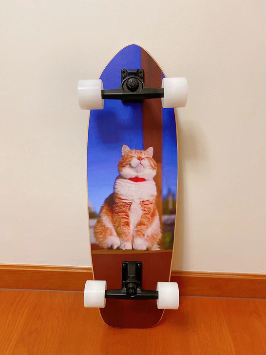 陆地冲浪滑板 第二块半价  夏日滑雪辅助神...