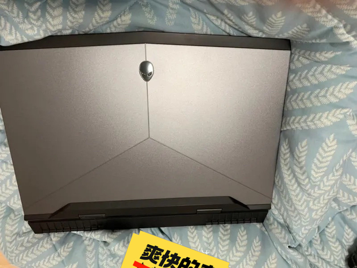 外星人17R4 i716/256G+1T1...