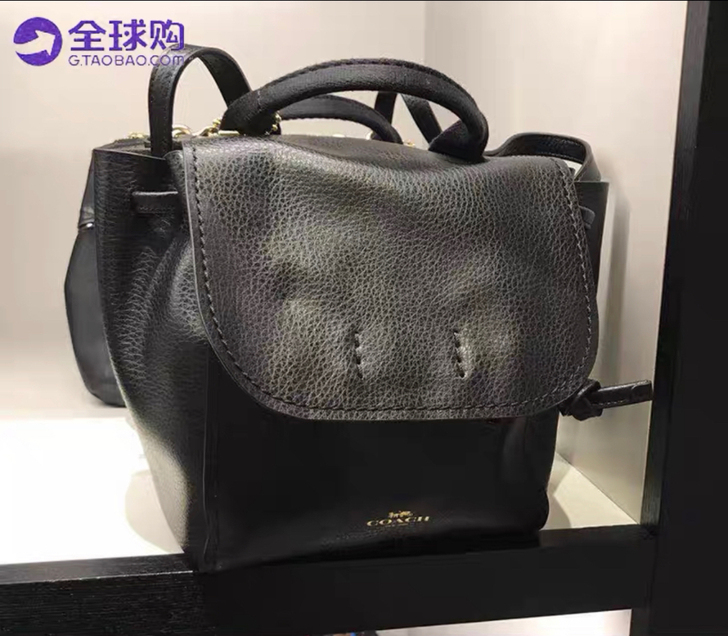 COACH蔻驰正品