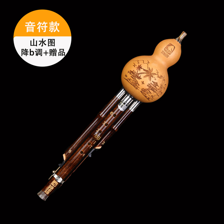 云南葫芦丝乐器初学者小学生c调成人降B调入...
