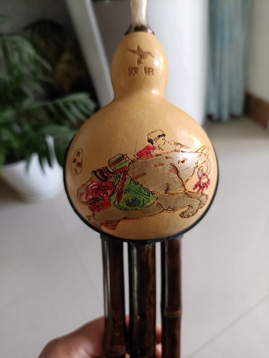 小孩姑姑给买的葫芦丝，买来不肯学，一次没用...