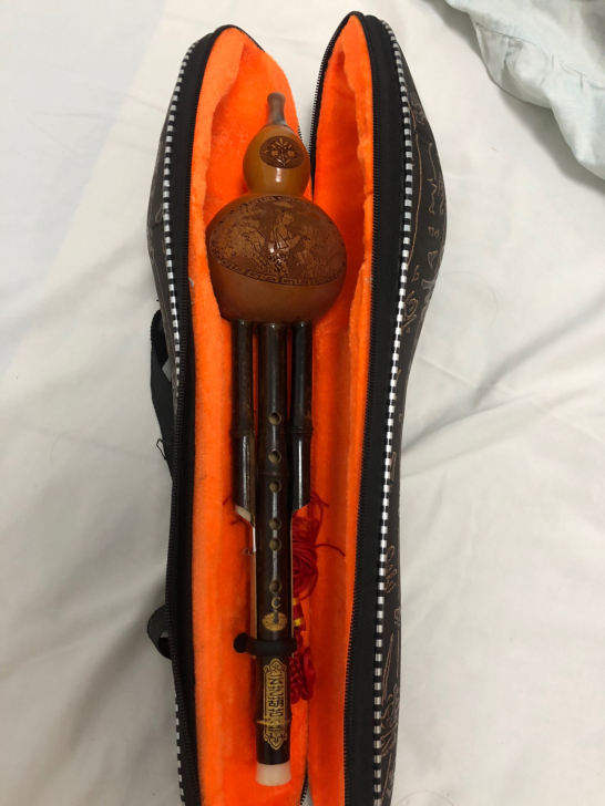 葫芦丝！葫芦丝！一直闲置着没用过！可以送书！