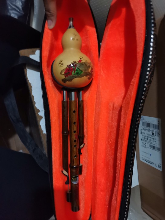 民族魂葫芦丝乐器初学者c调降b调小学生儿童...