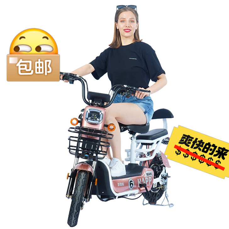 东南亚跨境电动车48v成人电瓶车电动自行车...