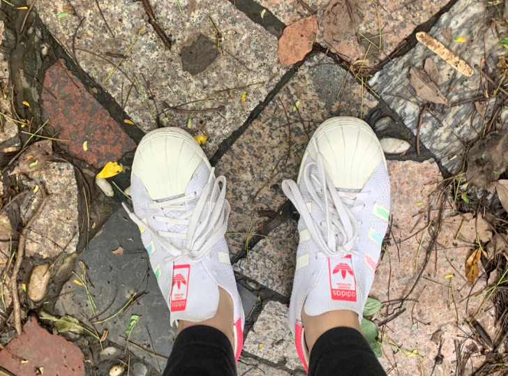 品牌型号 adidas
