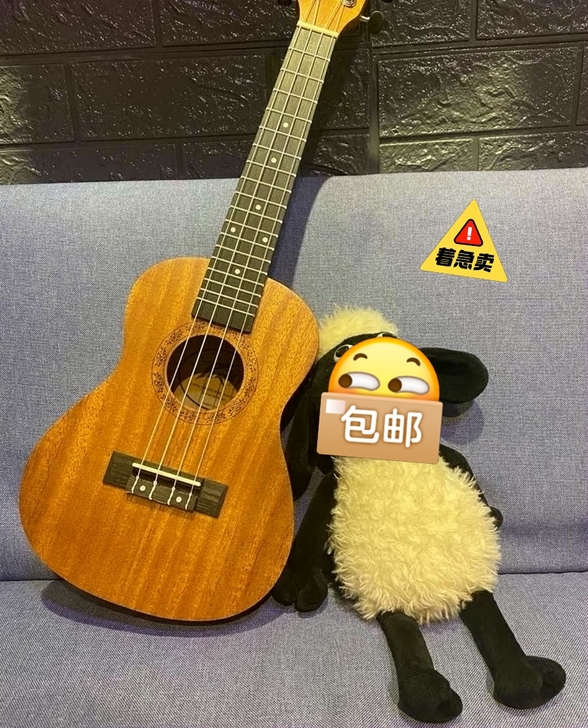 低价出售原价600多，全新出尤克里里23寸...
