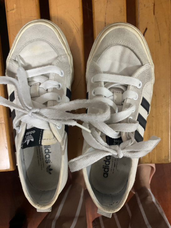 阿迪达斯 三叶草