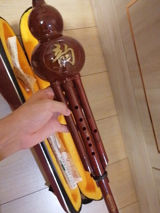 森雀树脂232型抗摔葫芦丝 适用人群：儿童...