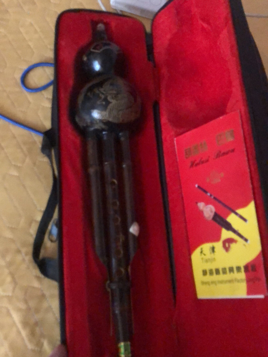 森雀葫芦丝,降B调,