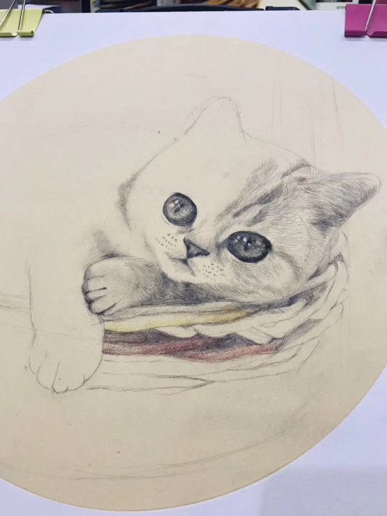 宠物画像宠物肖像画定制，彩铅或素描纯手绘，