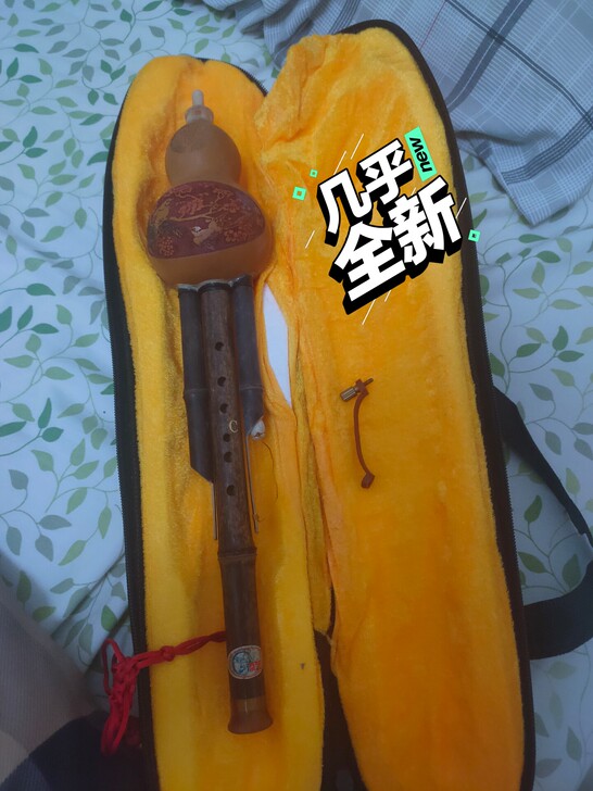 初中时候的选修课选的吹葫芦，现在找出来没用...