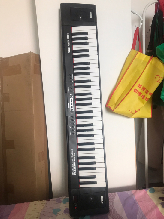 专业电子琴，61键。用了不到两个月。买来练...