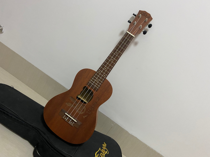 小吉他尤克里里ukulele 乌克丽丽21...