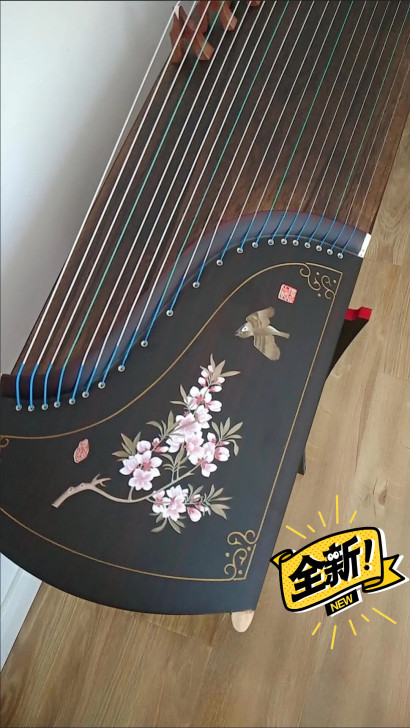 【全新】163大古筝考级练习初学者都可以用...